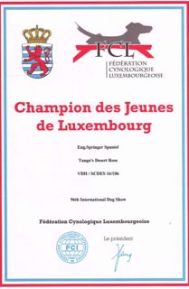 champion-des-jeunes-de Luxemburg